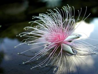 Hotel Ilmare Unarizaki