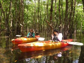 Hostal Villa Iriomote