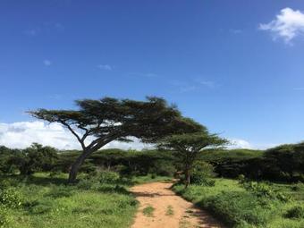 Hostal Mangrove House