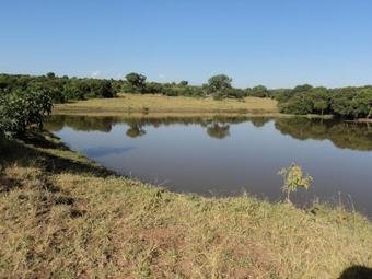Hostal Sangare Gardens
