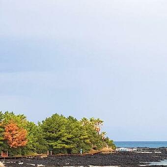 Hadori Maumchaenggim