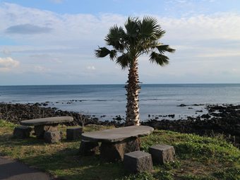 Hostal Blue Island Guesthouse