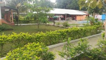 Hotel Friends Paradise