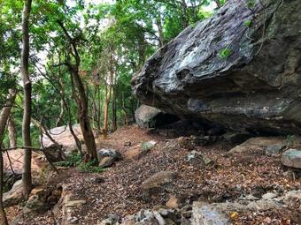 Hotel Arangala Forest Lodge