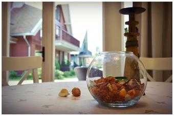 Apartamento Kur?i? Dor?