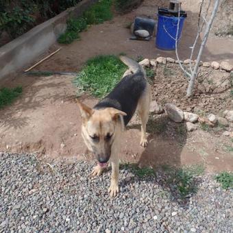 Agroturismo Tigmmi Bahamou