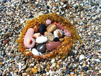 Apartamento Appart H�tel La Planque