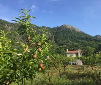 Agroturismo Village House Tea