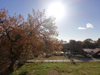 Apart Hotel Forte Roses Montenegro Ko Buljarica