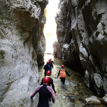 Apartments Dragovi? Nik?i?