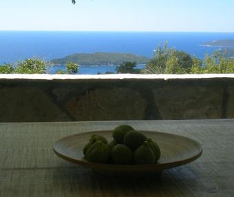 Holiday Home Mulberry Tree
