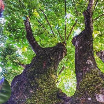 Hostal Apartman Vesna