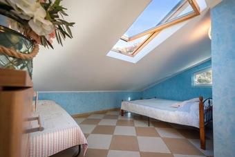 Apartments Olive Family