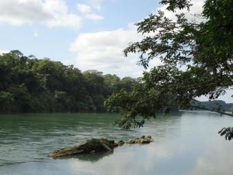 Las Guacamayas Lodge Resort, Selva Lacandona, Chiapas M�xico