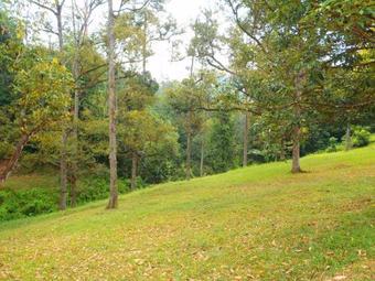 Alamar Hills And Hot Spring