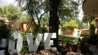 La Casa De Los Arboles