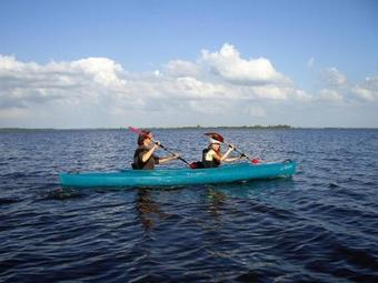 4 Pers. Fully Equipped Holiday Home, Close To The National Park Lauwersmeer