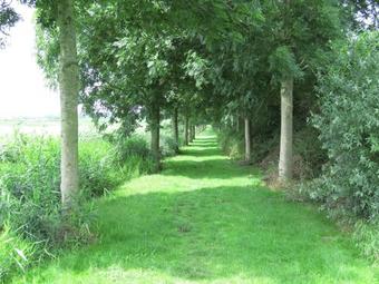 Detached Chalet With Nice Terrace, Near Recreational Lake