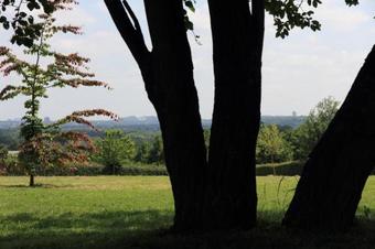 Bed & Breakfast Villa De Proosdij