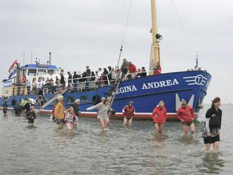 Luxury Mansion Near Sea In Pingjum
