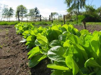 Gastenhuis De Veenstraal