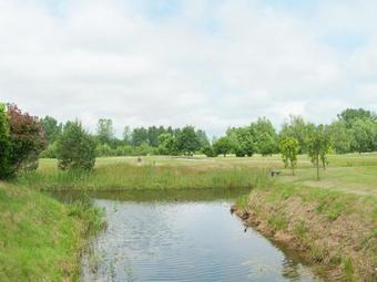 Cosy Holiday Home In Drenthe By The Forest