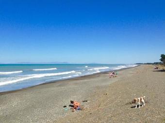 Motel Teviot View Accommodation