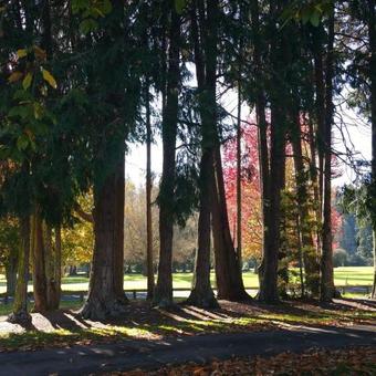 Hideaway Rotorua Waterfront House
