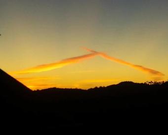 Bed & Breakfast Kauri Villas