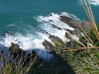 Albergue Thomas's Catlins Lodge And Camp Ground