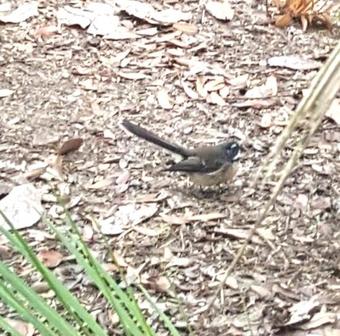 The Old Post Office Guesthouse B&B