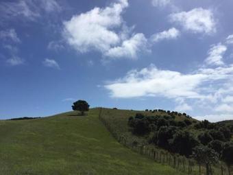 Orewa Brand New Sunshine Home Stay