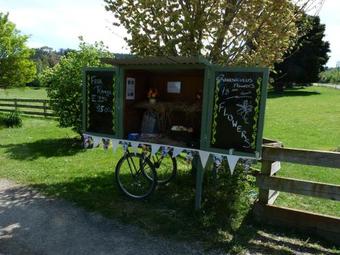 Bed & Breakfast Snowball Manor