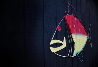 Bed & Breakfast Tanglewood