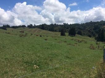 Apartamentos Studio 411