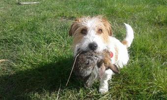 Moeraki Boulders Motel