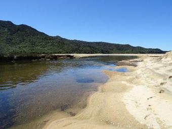 Buena Vista Apartment