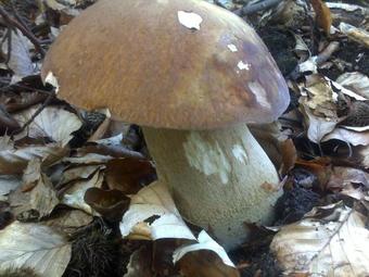 Hostal Dom Wczasowy Mariza