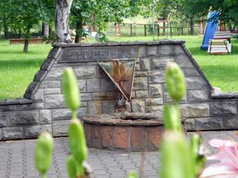 Hotel Geovita Muszyna