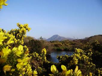 The Bards Den Hostel