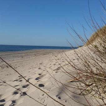 Apartamenty Nadmorska