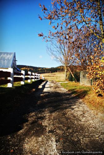 Lodge Kasienka Cottage