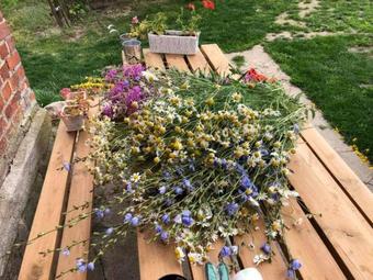 Agroturismo Uroczysko Skomackie