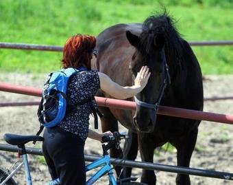 Hostal Pensjonat Iskra