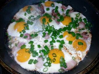 Agroturystyka Nowy Krak�w