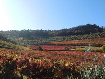 Villa Avenida Dos Combatentes Da Grande Guerra