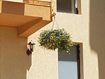 Hostal Casa Mon Reve