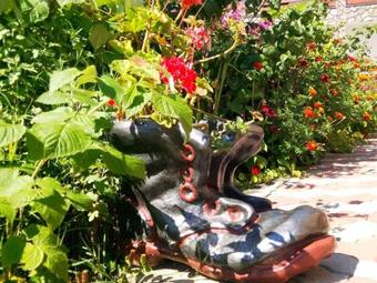 Hostal Pensiunea Dana