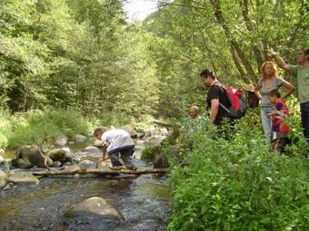Hostal Pensiunea Popasul Iancului