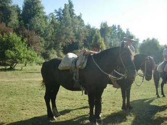 Lodge Caba�as Los Maquis 7 Tazas